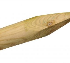 Spidspæl Ø 10, 200 CM.NTR A.