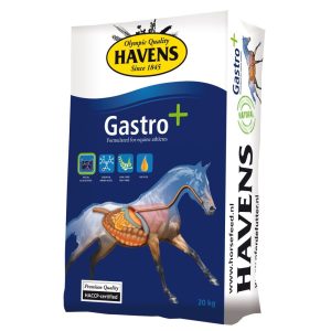 HAVENS Gastro+