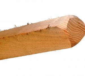 Hegnspæle / Vinstokke 175 CM 18-24 CM2