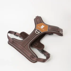 Lau Hundesele Brown