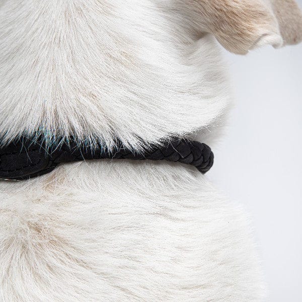 Cloud7 Hundehalsbånd Læder Ravello Hazel - Billede 4